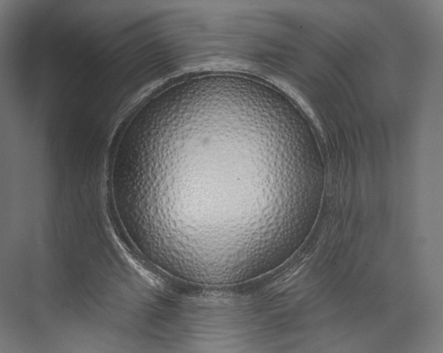 X0000073850437200609071611