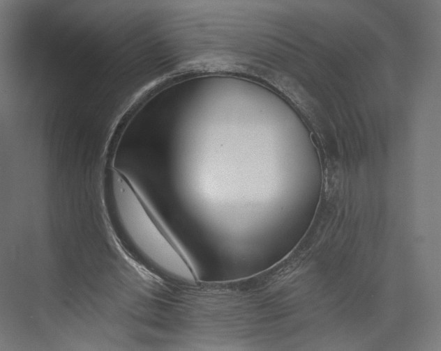 X0000073850438200609071611