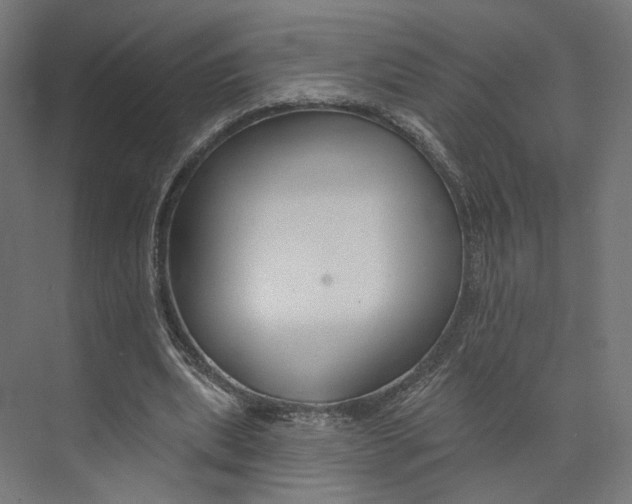 X0000073850439200609071611