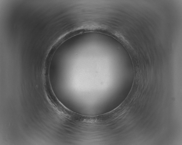 X0000073850440200609071611