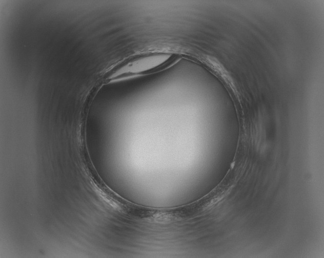 X0000073850441200609071611