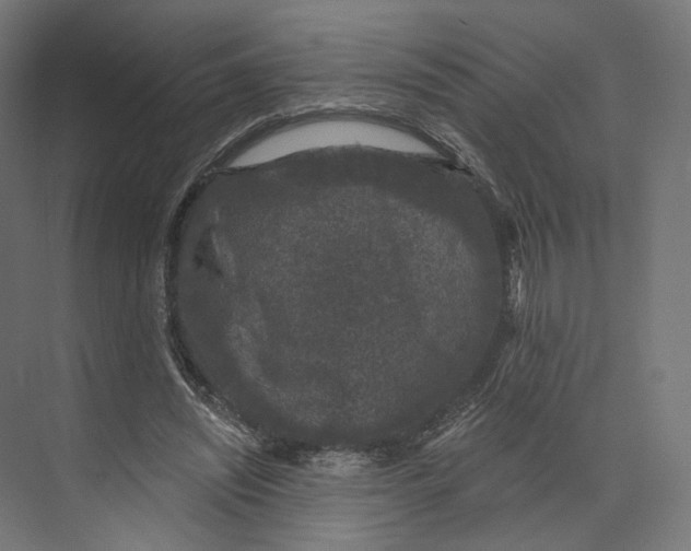 X0000073850444200609071611