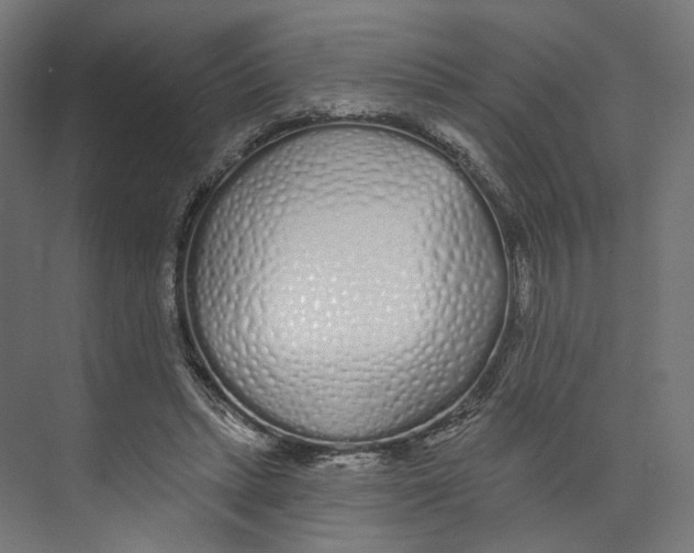 X0000073850447200609071611