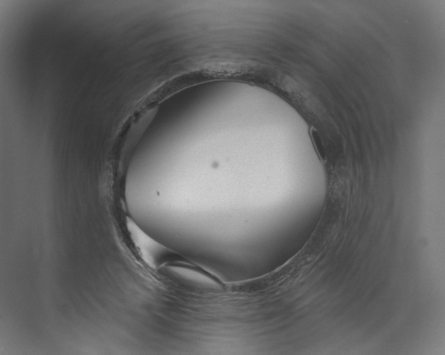 X0000073850448200609071611