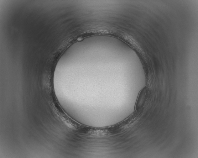 X0000073850449200609071611