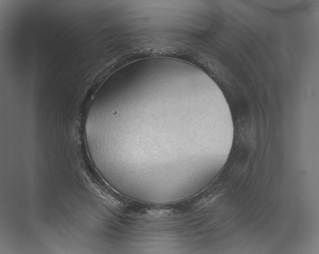 X0000073850450200609071611