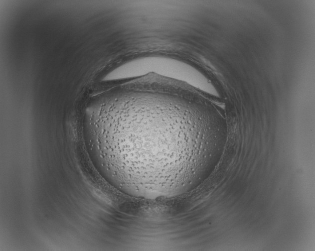 X0000073850452200609071611