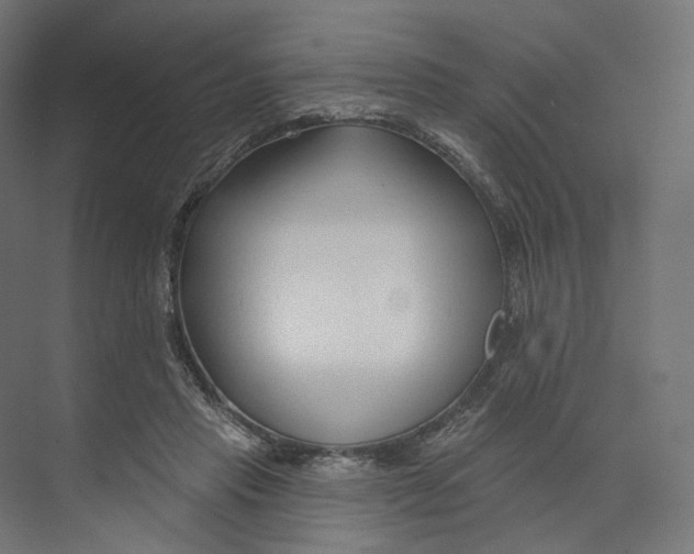 X0000073850453200609071611