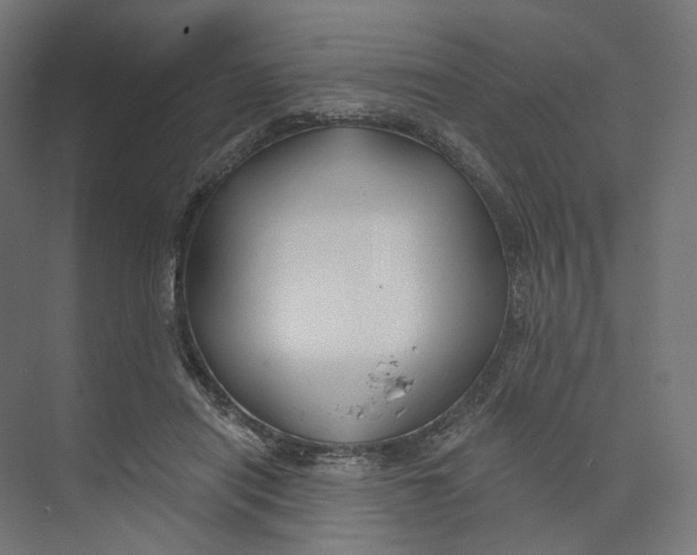 X0000073850454200609071611