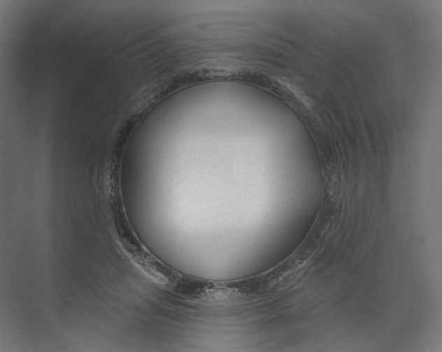 X0000073850455200609071611