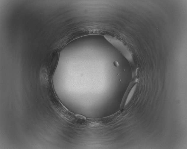 X0000073850456200609071611