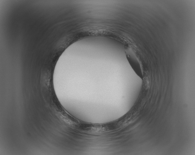 X0000073850458200609071611