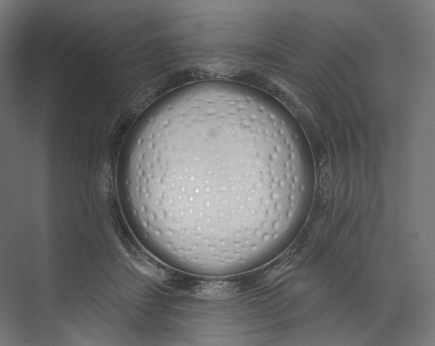 X0000073850459200609071611