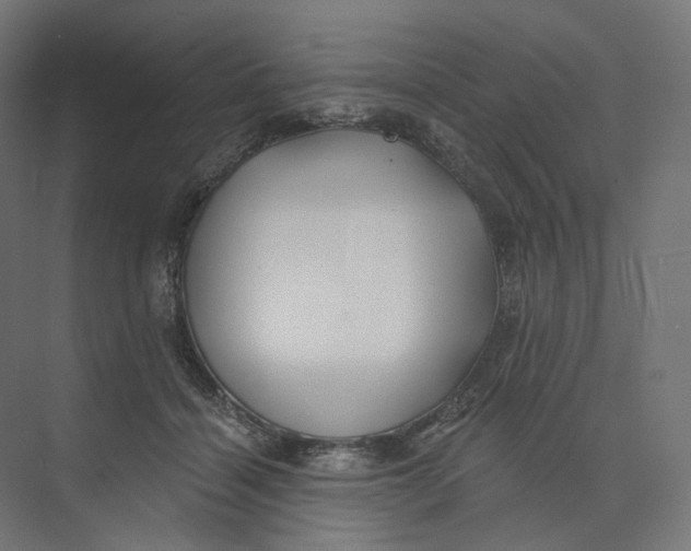 X0000073850460200609071611