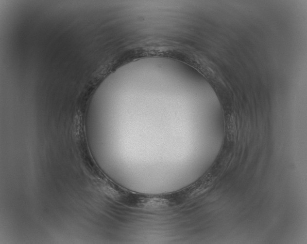 X0000073850463200609071611