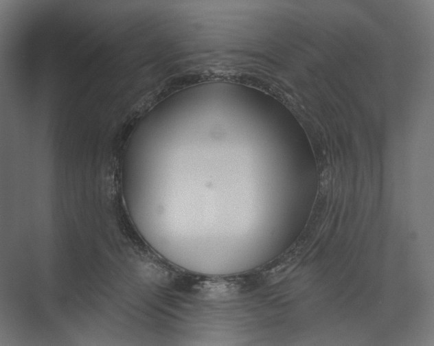 X0000073850464200609071611