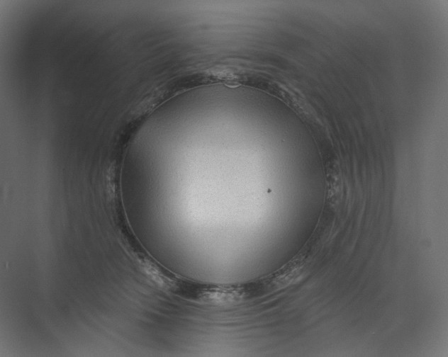 X0000073850466200609071611