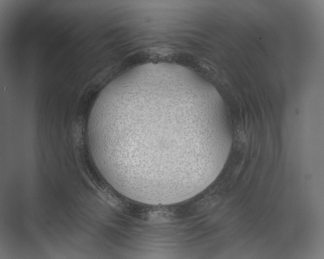 X0000073850468200609071612