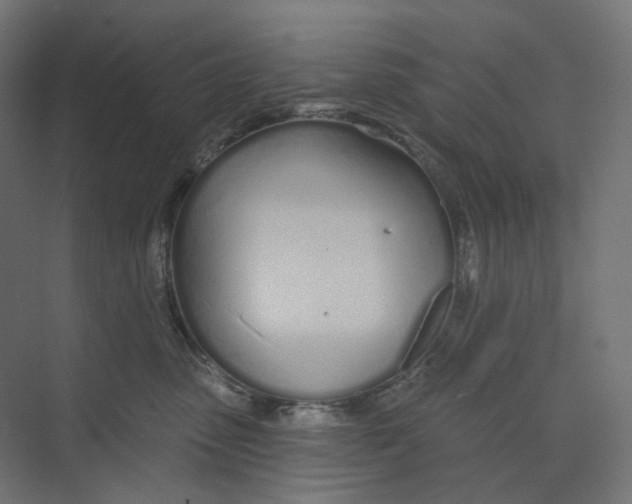 X0000073850475200609071612