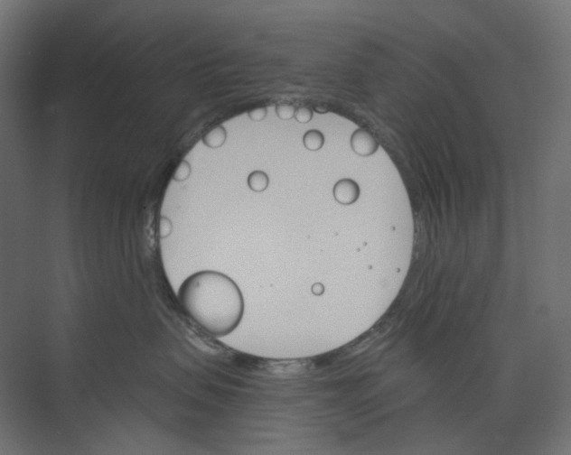 X0000073850479200609071612