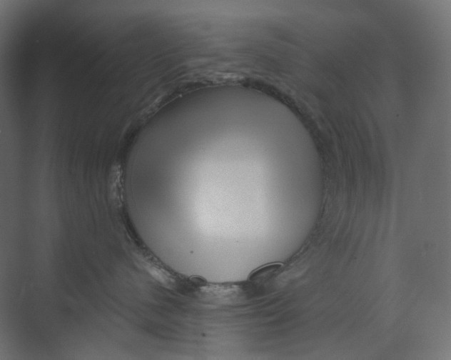 X0000073850480200609071612