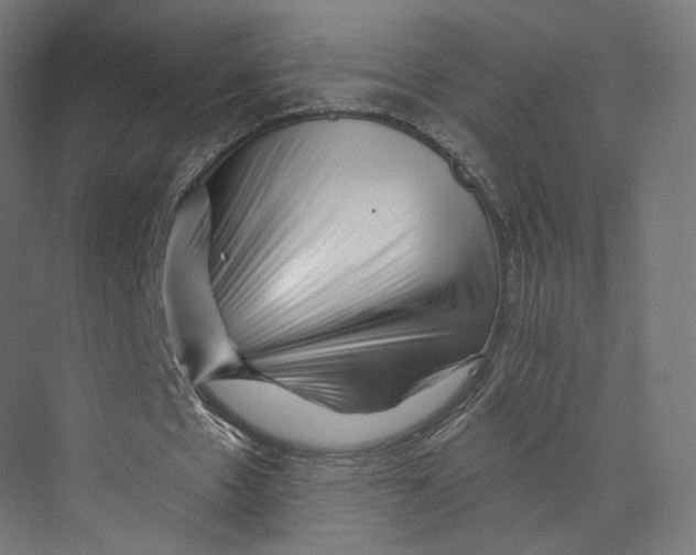 X0000073850481200609071611