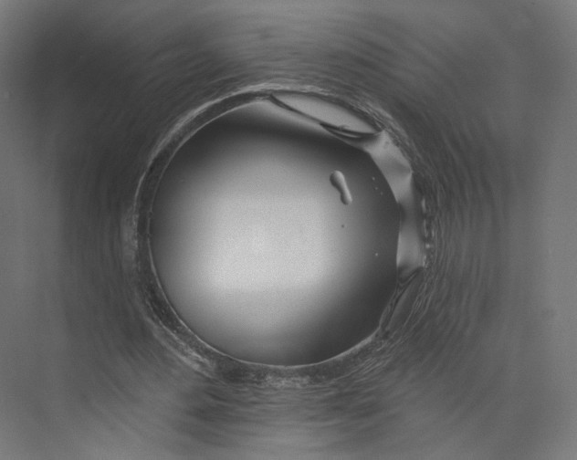 X0000073850484200609071611