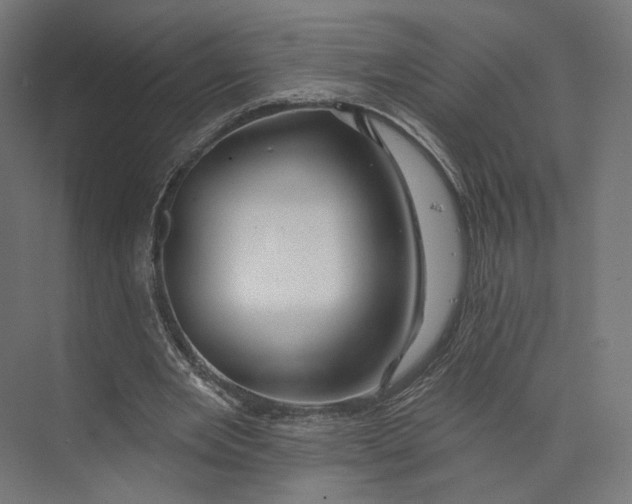 X0000073850485200609071611