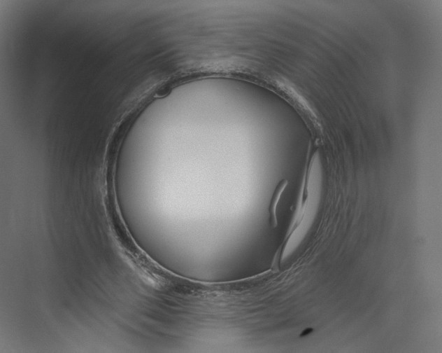 X0000073850486200609071611