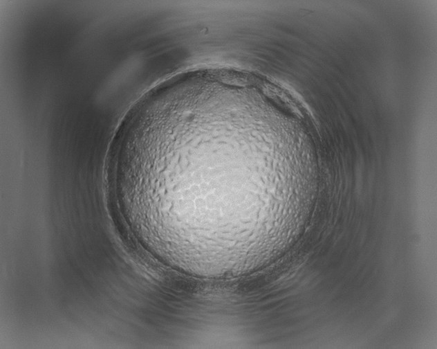 X0000073850487200609071611