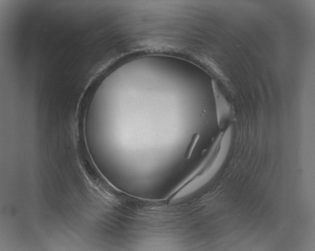 X0000073850488200609071611