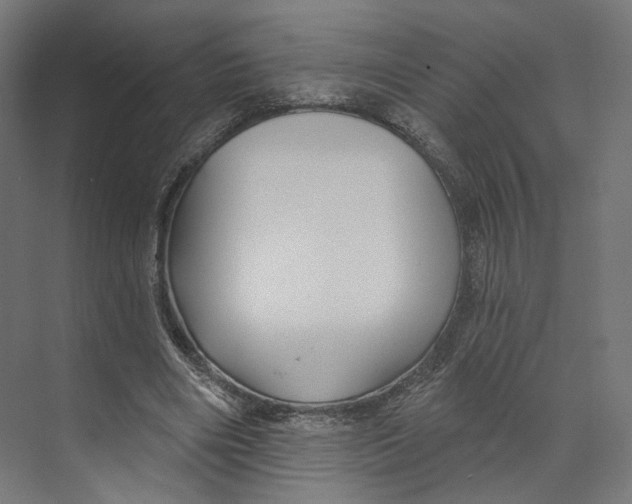 X0000073850490200609071611