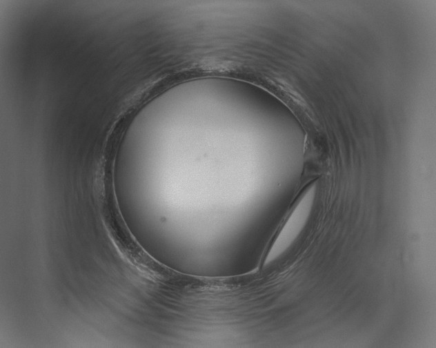 X0000073850492200609071611