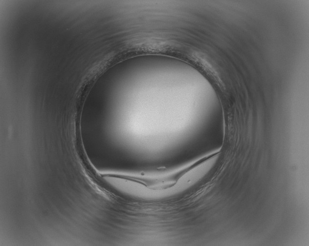 X0000073850493200609071611