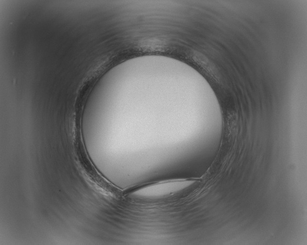 X0000073850494200609071611