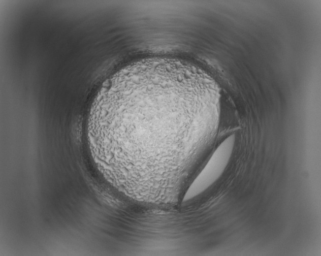 X0000073850495200609071611