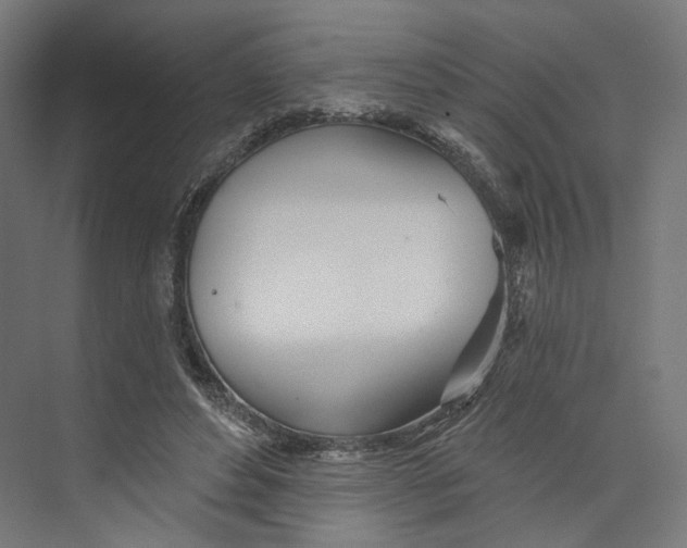 X0000073850496200609071611