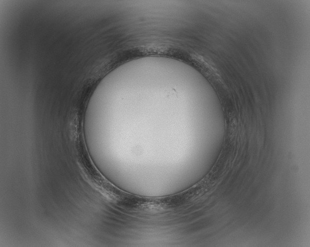 X0000073850498200609071611