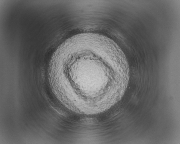 X0000073850499200609071611