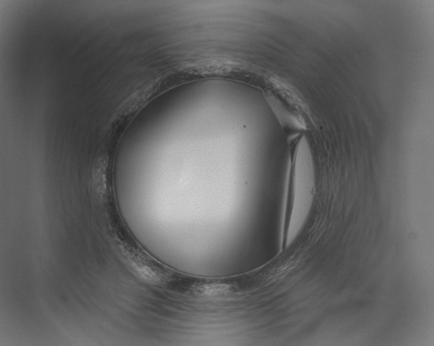 X0000073850501200609071611