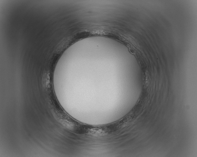 X0000073850502200609071611