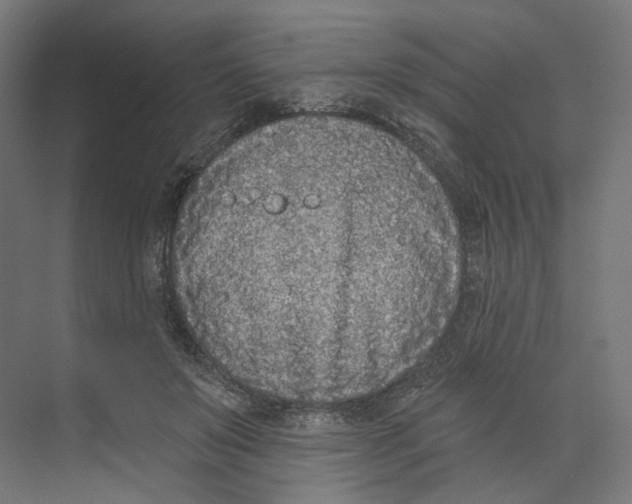 X0000073850503200609071611