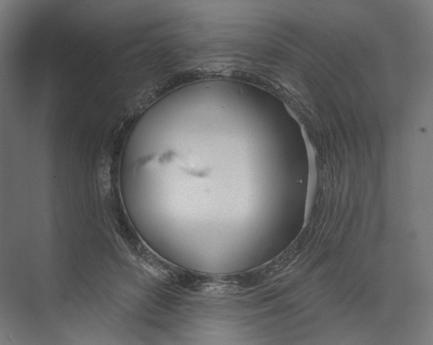 X0000073850504200609071611