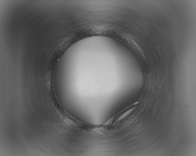 X0000073850505200609071611