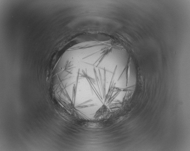 X0000073850507200609071610