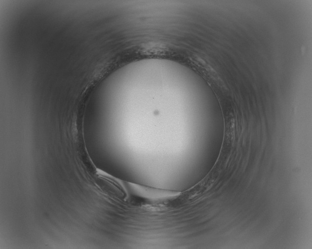 X0000073850508200609071610