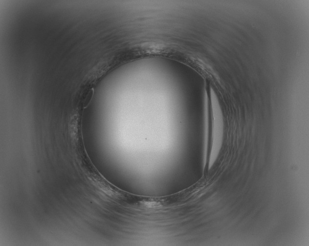 X0000073850509200609071610