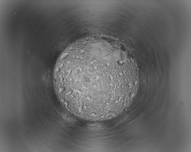 X0000073850511200609071610