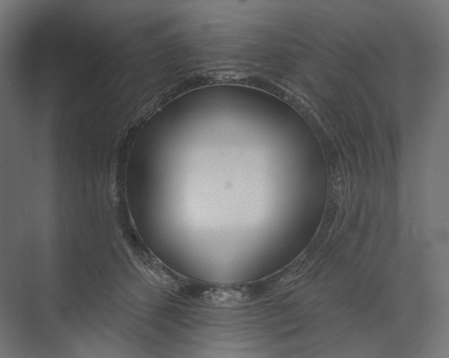 X0000073850512200609071610