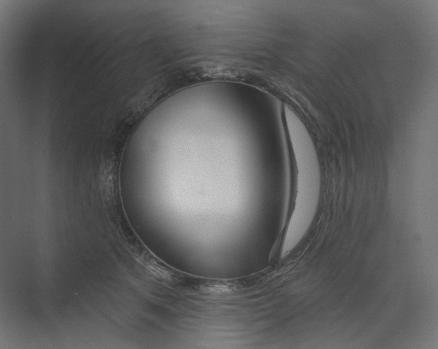 X0000073850513200609071610